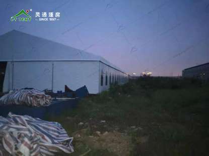 1781568884599985.jpg 2.jpg